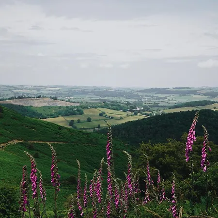Two Unique Cabins Wrapped In Beautiful Welsh Scenery Presteigne Exterior photo