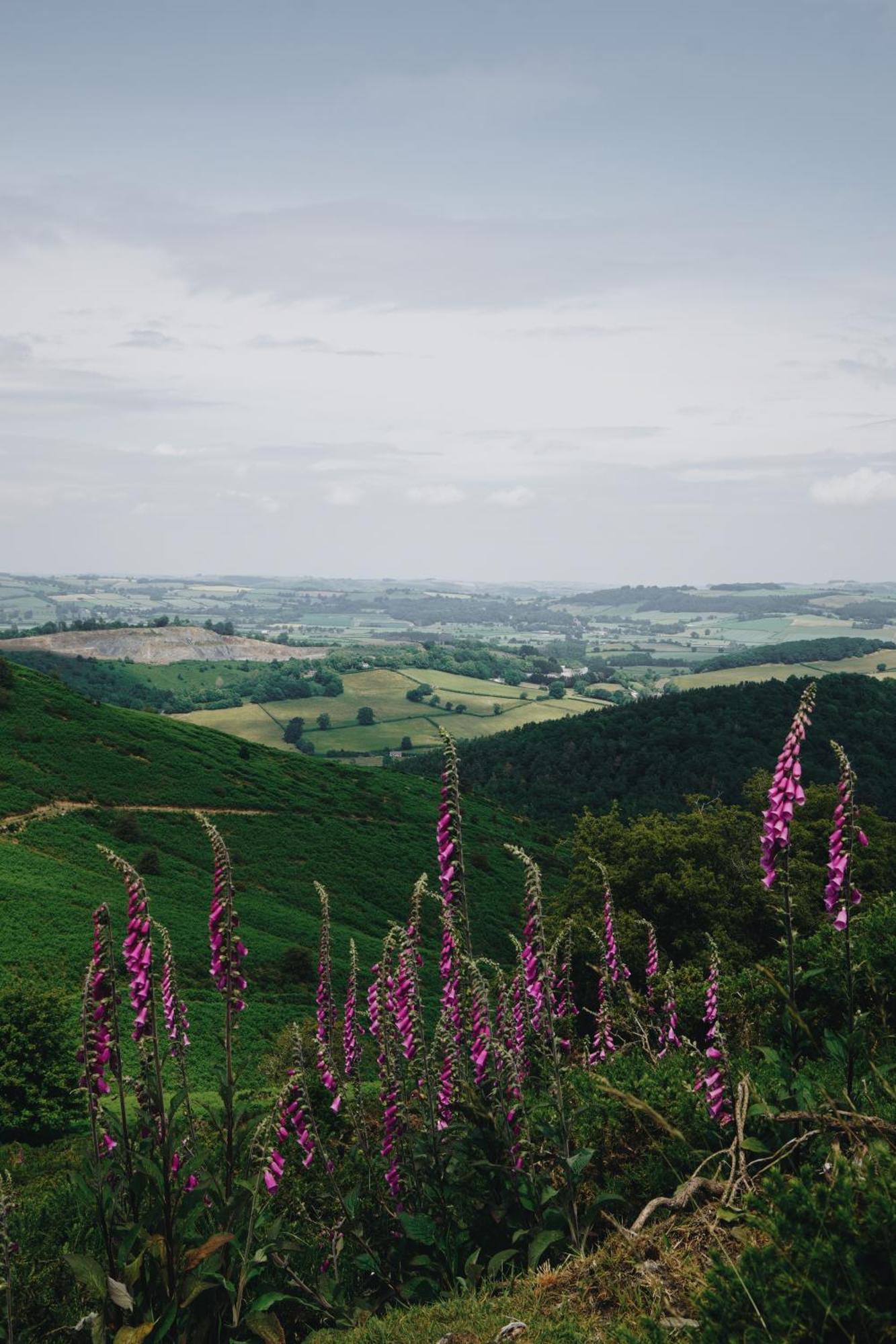 Two Unique Wrapped In Beautiful Welsh Scenery Apartment Presteigne