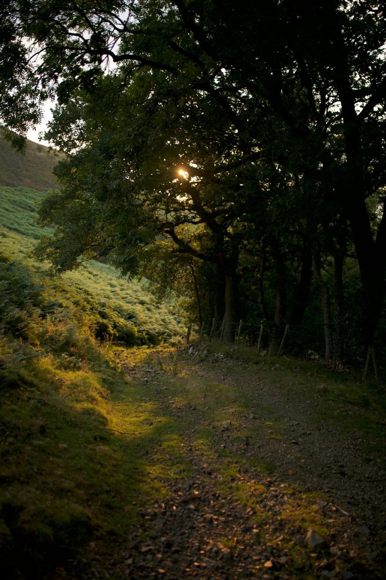 Two Unique Wrapped In Beautiful Welsh Scenery * Presteigne